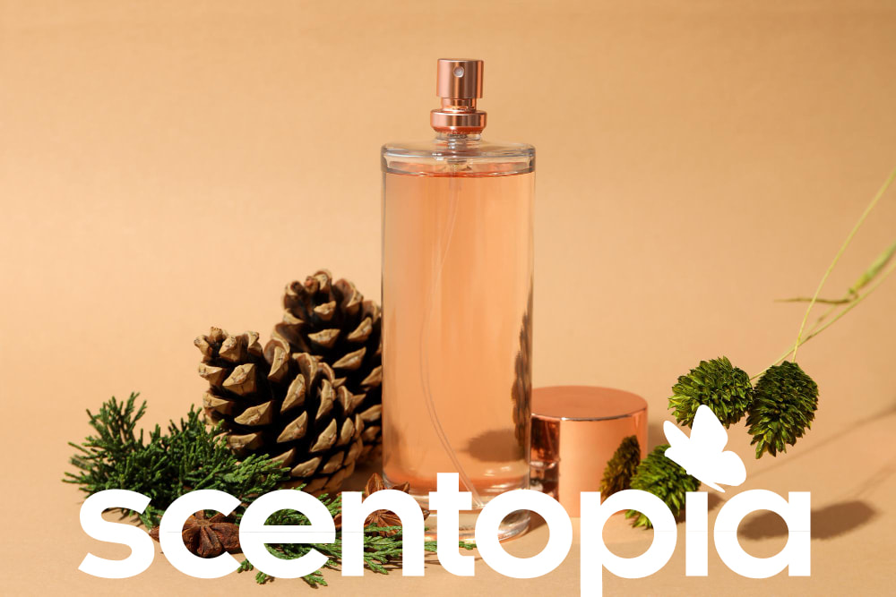 Christmas fragrance inspiration