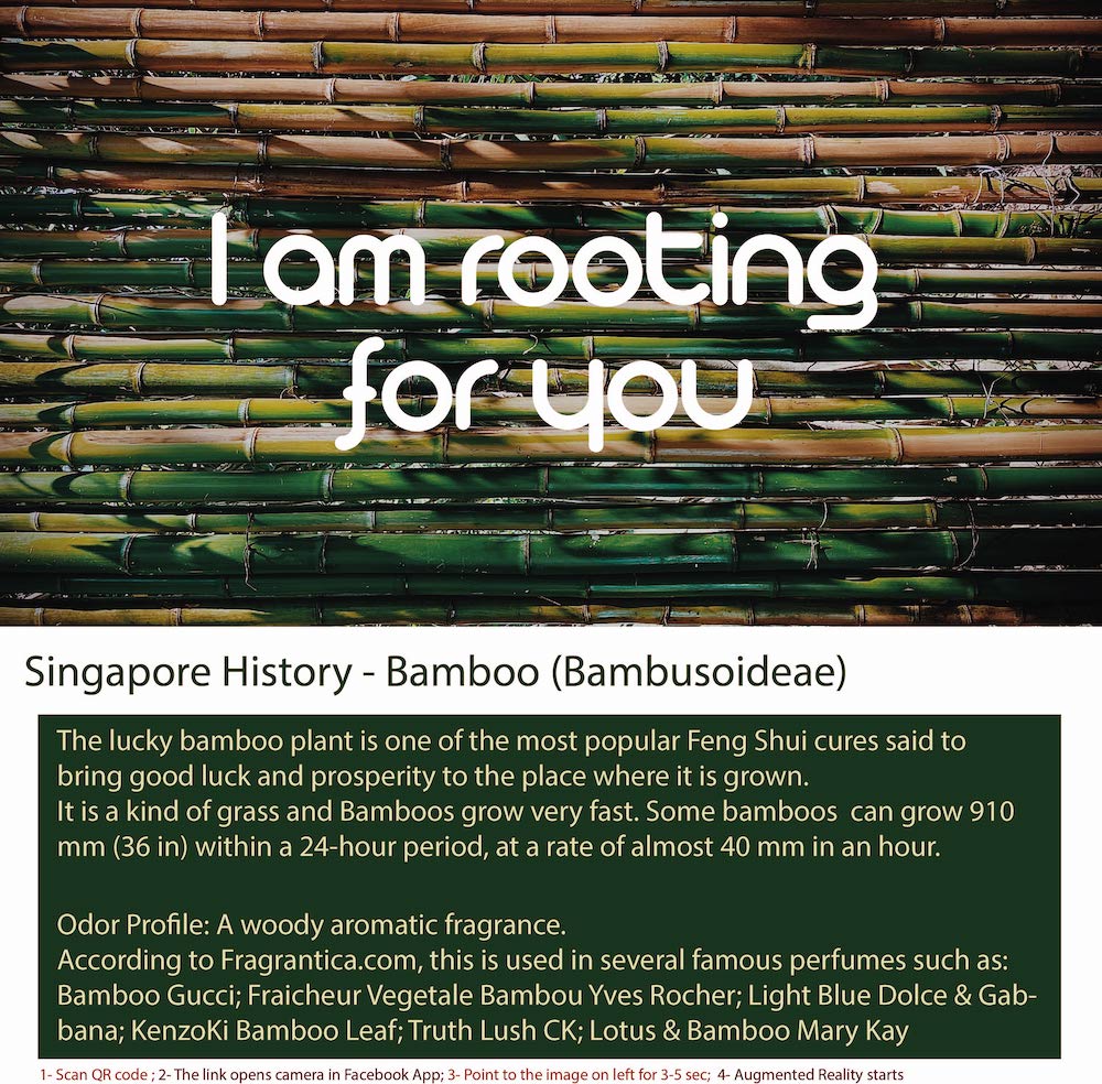 Bamboo-Inspired Aromatic Home Decor