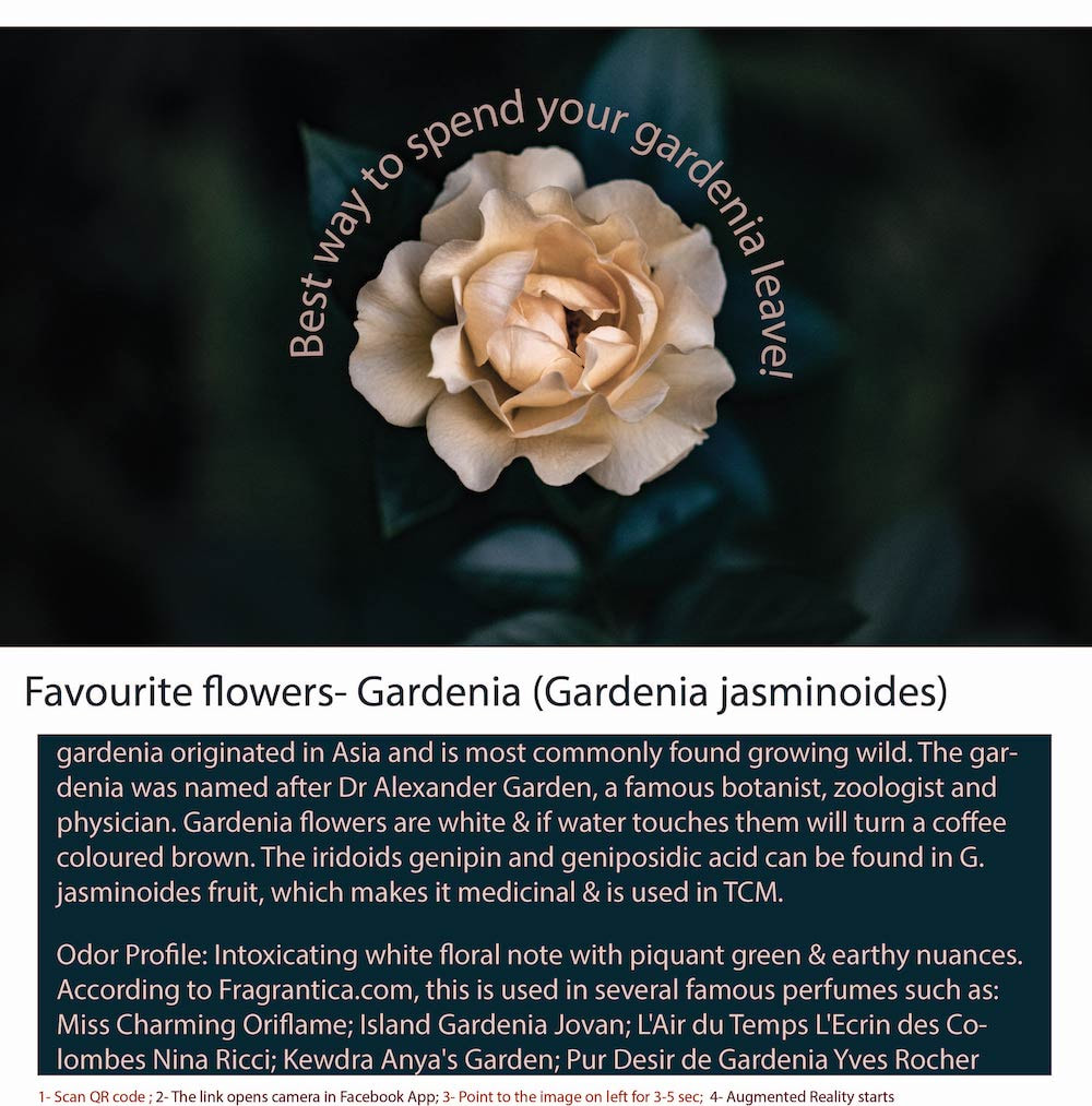 White Gardenia Scented Candle - Scentopia Singapore