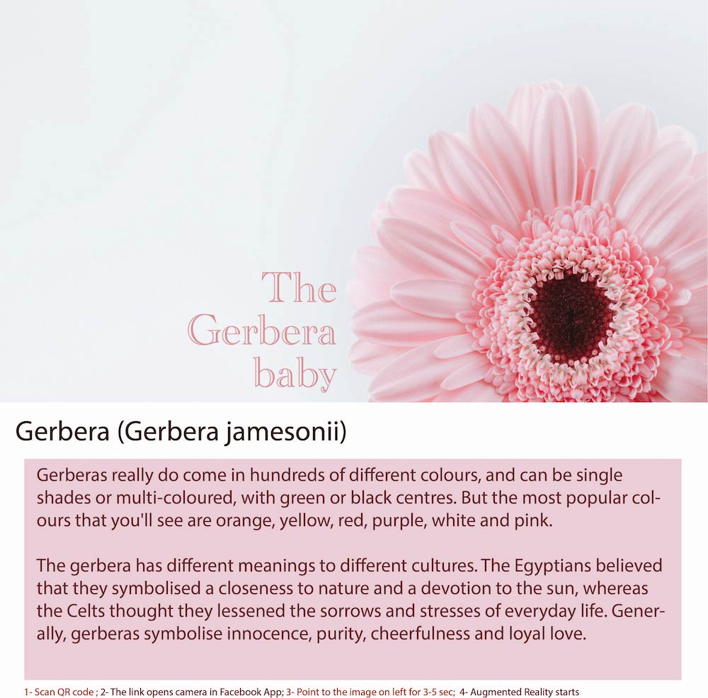 Gerbera Lovely Floral Essential Oil Bottle