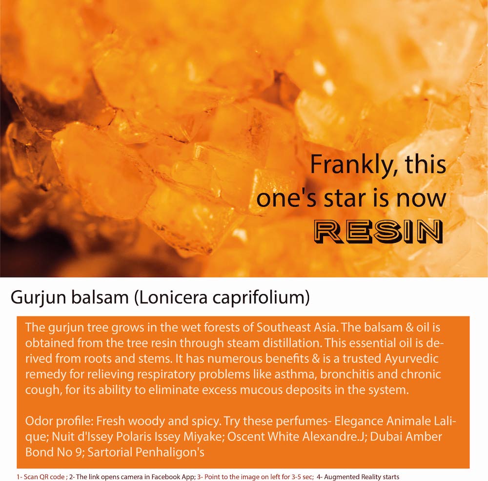 Gurjun Balsam Essential Oil Bottle