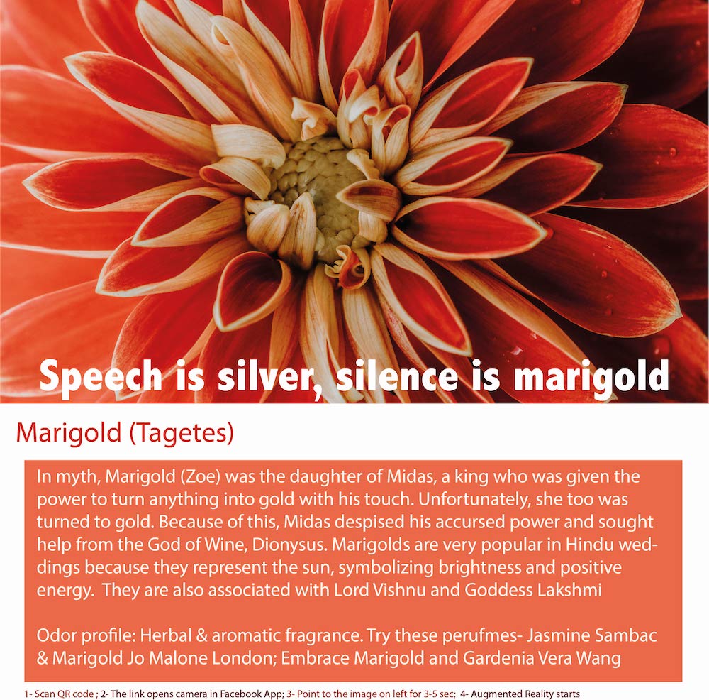 Marigold Citrus Aromatherapy Blend