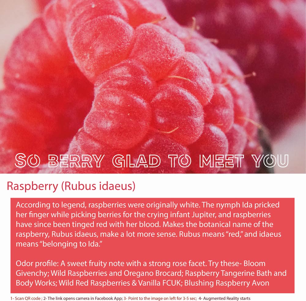 Raspberry Fragrance Bottle - Luscious Fruity Aroma