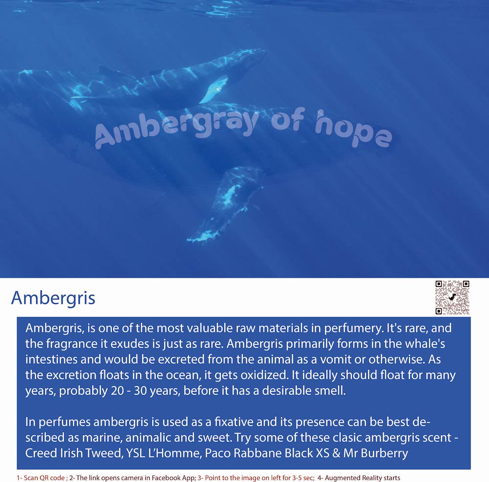 Whale Vomit Ambergris Perfume Bottle
