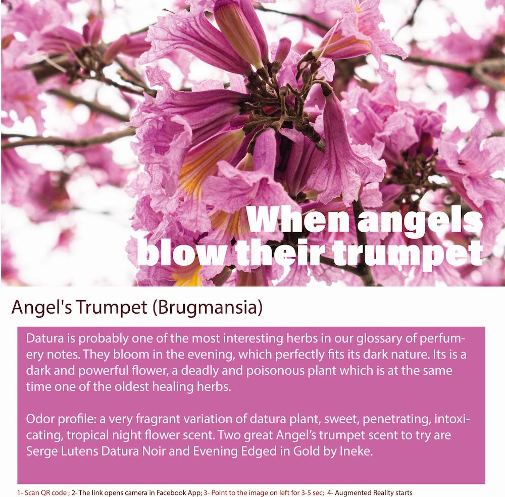 Angel's Trumpet Fresh Floral Scent