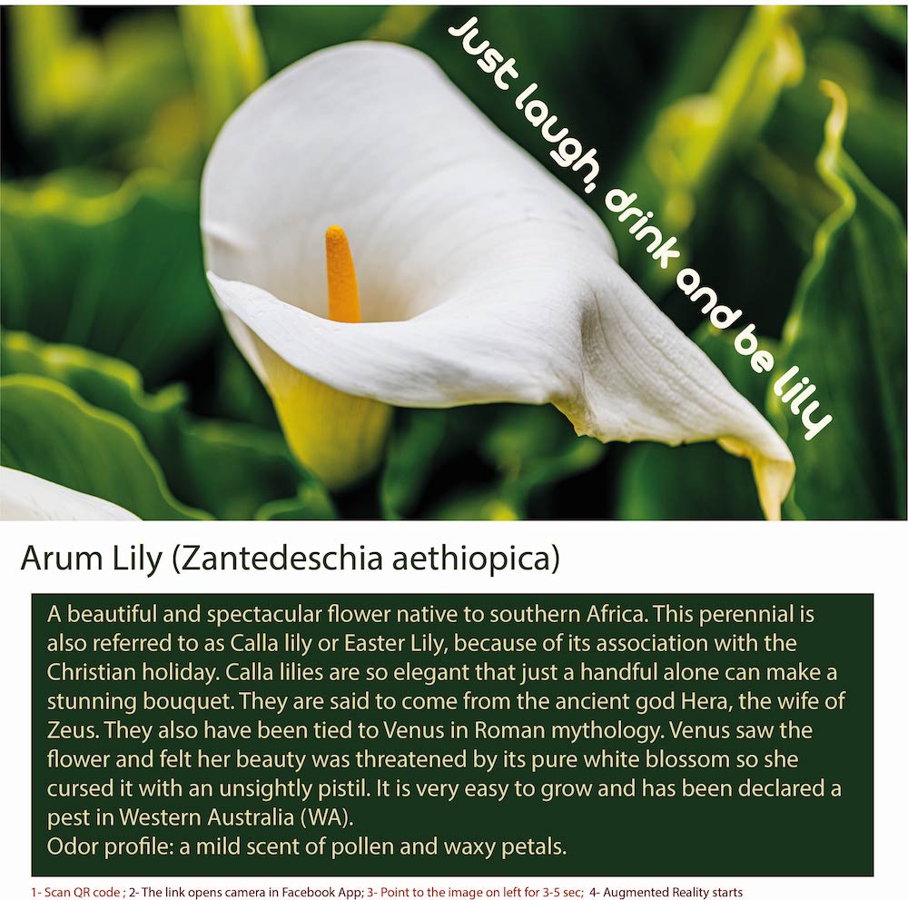 Exotic Arum Lily Floral Arrangement