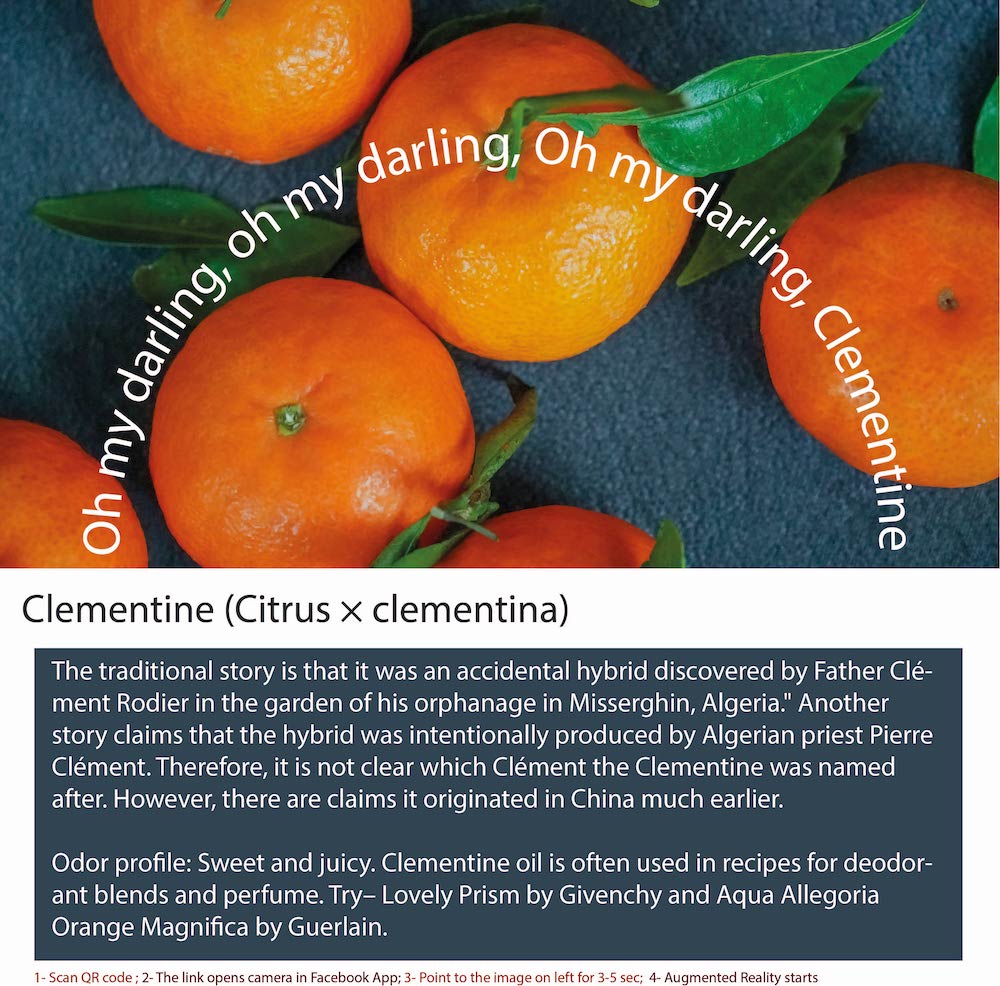 Sweet Clementine Aroma Oil