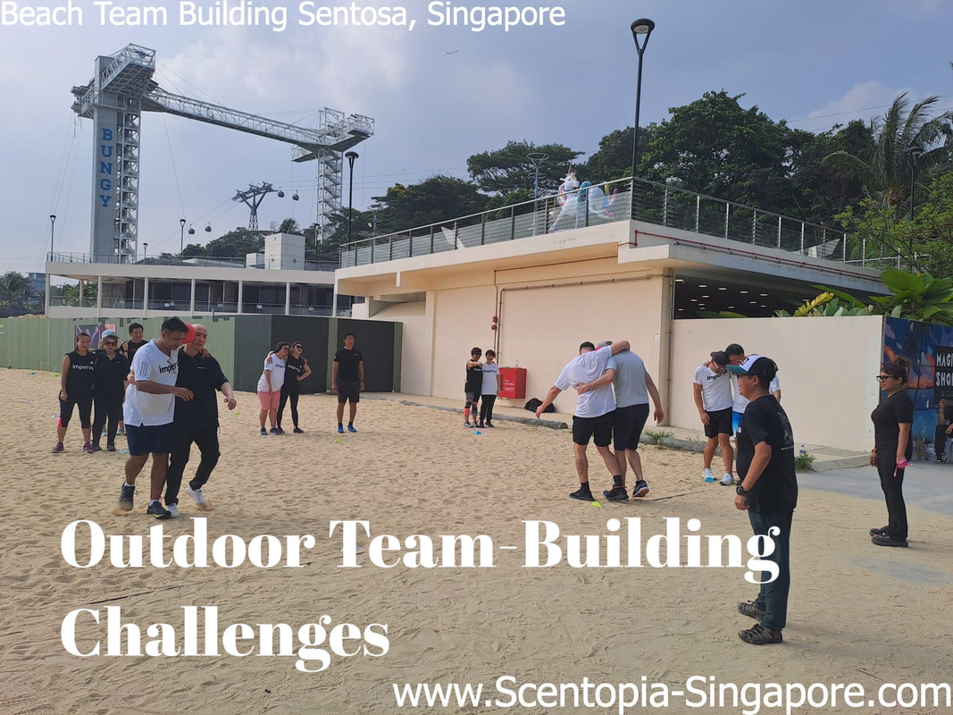 Team enjoying outdoor challenges at sentosa