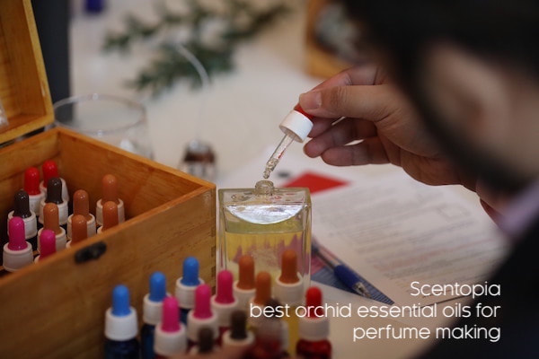 man putting essential oil in perfume bottle