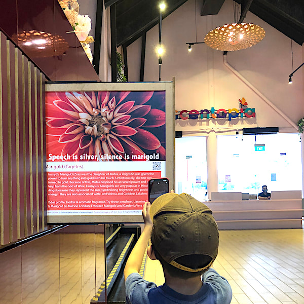 child with Augmented reality tours scentopia new tourist attraction at sentosa