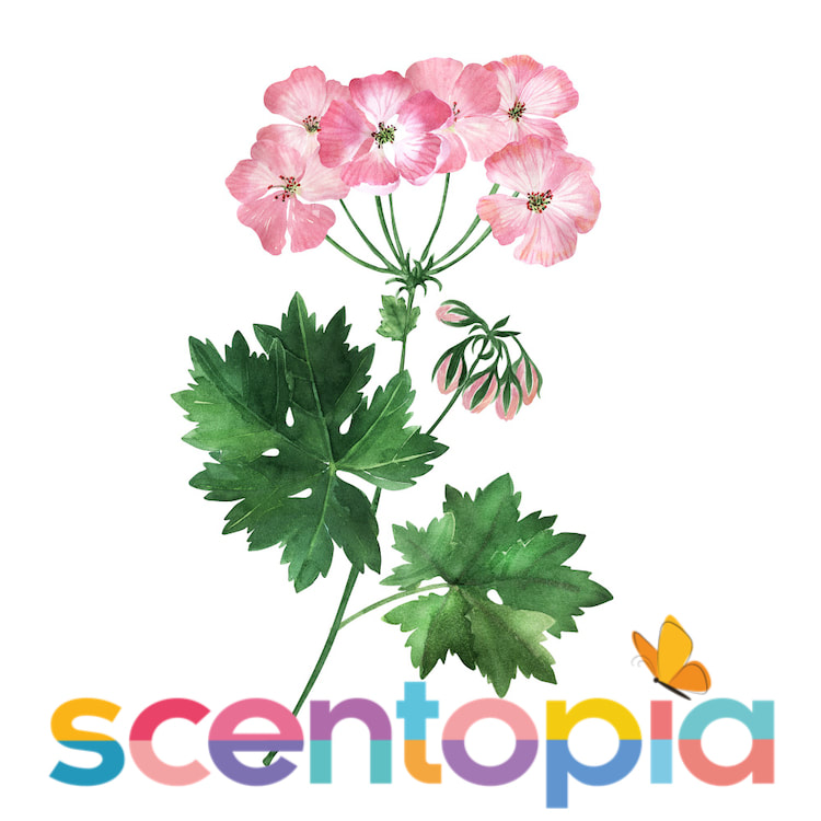 Wellness with Scentopia