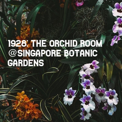 1928: The Orchid Room @Singapore Botanic Gardens