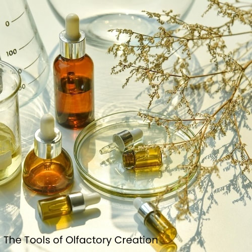 The Tools of Olfactory Creation