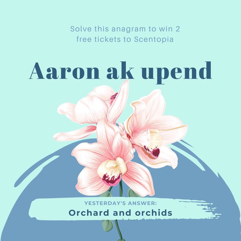 Orchard and orchids is the result for yesterday scented anagram