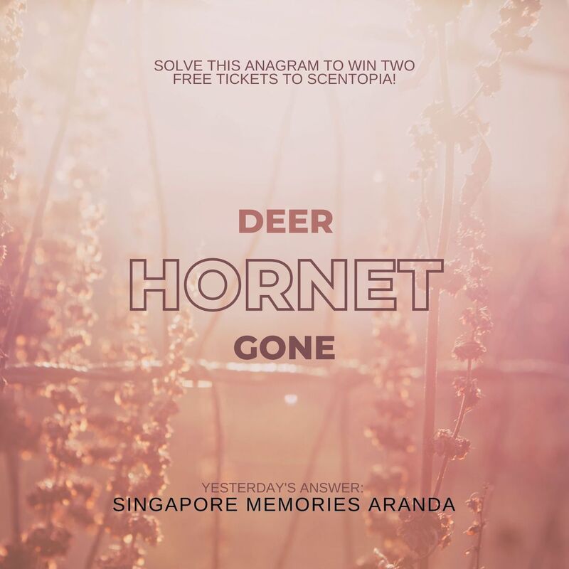 Singapore memories aranda is the result for yesterday scented anagram