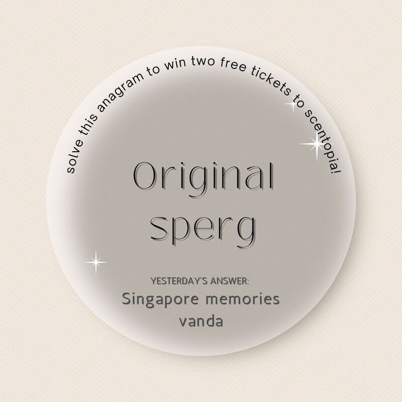 Singapore memories vanda is the result for yesterday scented anagram