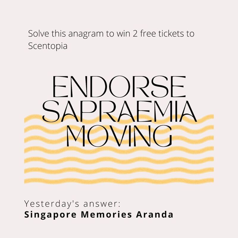 Singapore memories aranda is the result for yesterday scented anagram