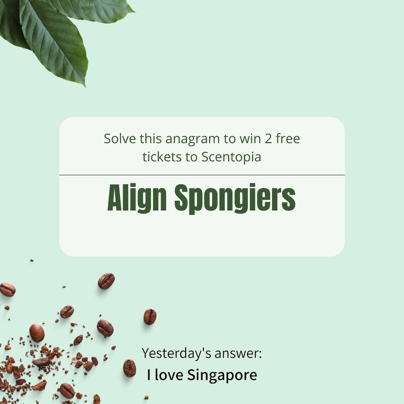 I love Singapore is the result for yesterday scented anagram