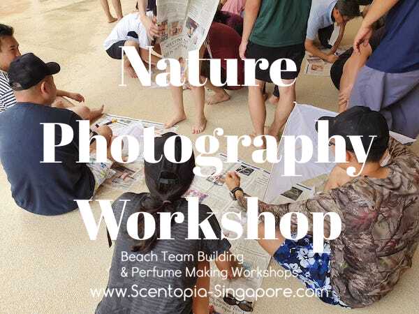 corporate employee at Nature Photography Workshop team building