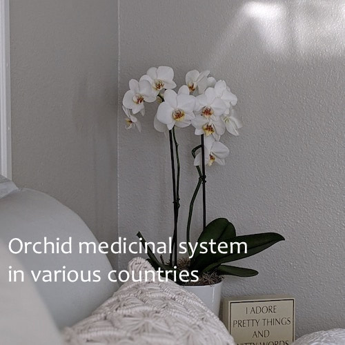 Orchid medicinal system in various countries