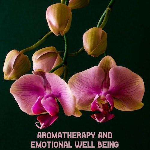 Aromatherapy and Emotional Well being