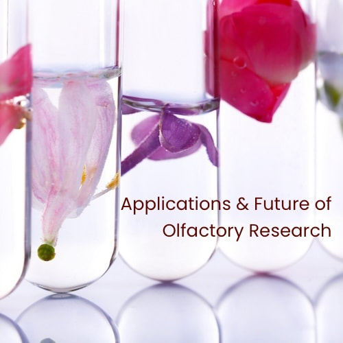 Applications and Future of Olfactory Research