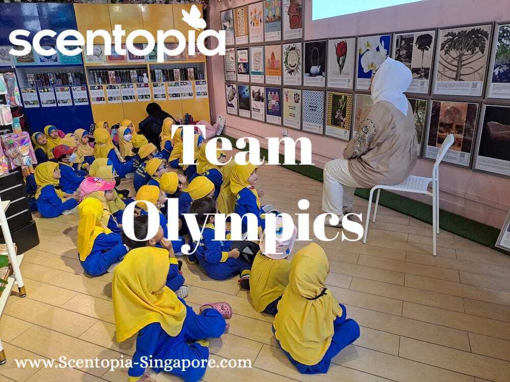 team olympics  - instruction to organise team building event