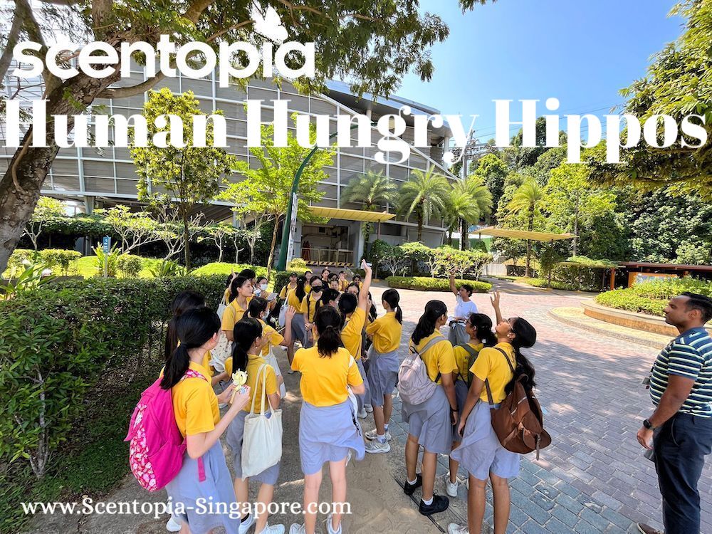 hungry hippos corporate team event singapore