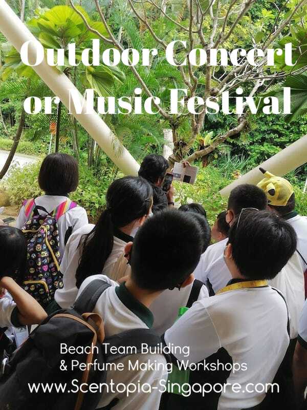 corporate employee at Outdoor Concert or Music Festival team building