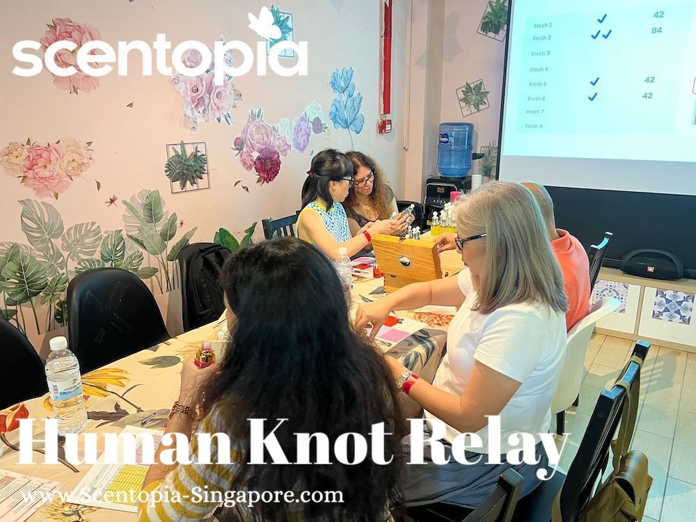 human knot team building game singapore