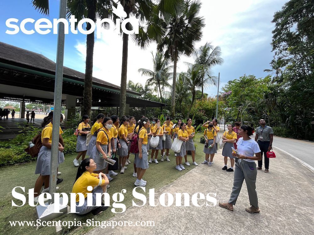 stepping stone team building event singapore