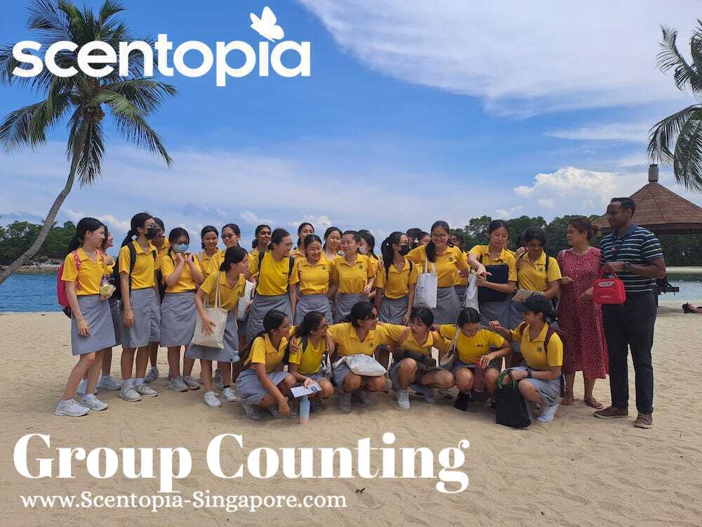 group counting team building event singapore