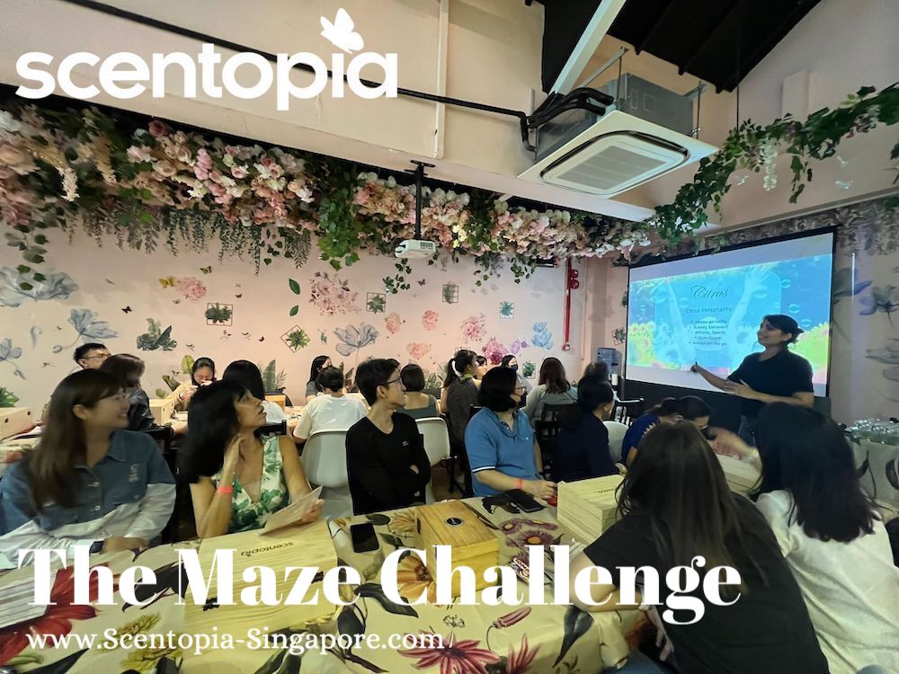 maze challenge team building event singapore