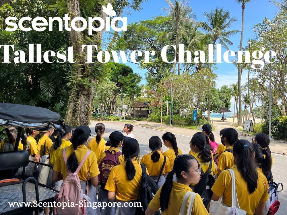 tallest tower challenge team building event singapore