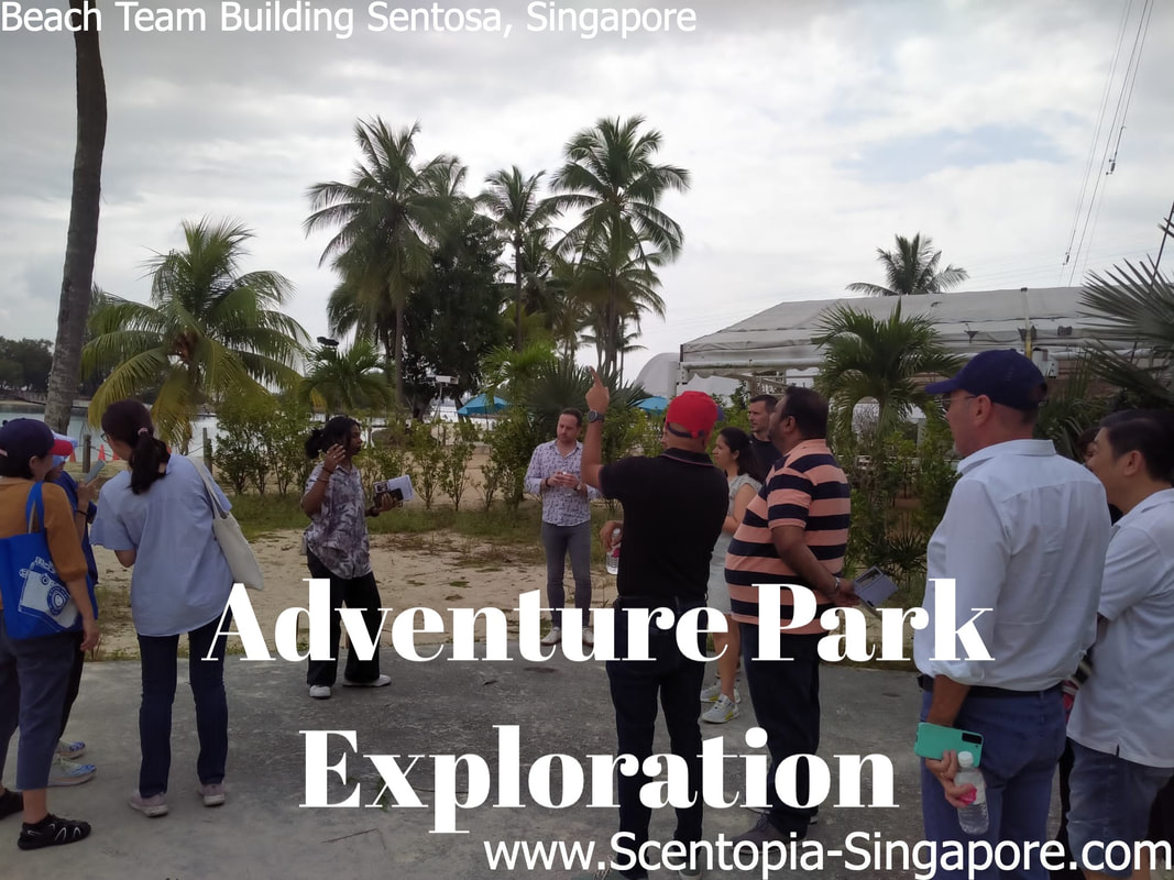 team exploring an Adventure Park