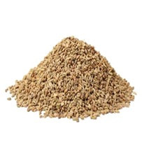 Ajowan is a popular spice herb in Indian cooking and perfumery