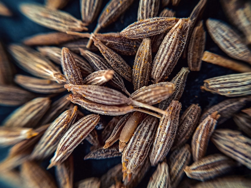 anise seed essential oil is healthy for body