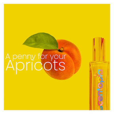 Apricot perfume in singapore's scentopia