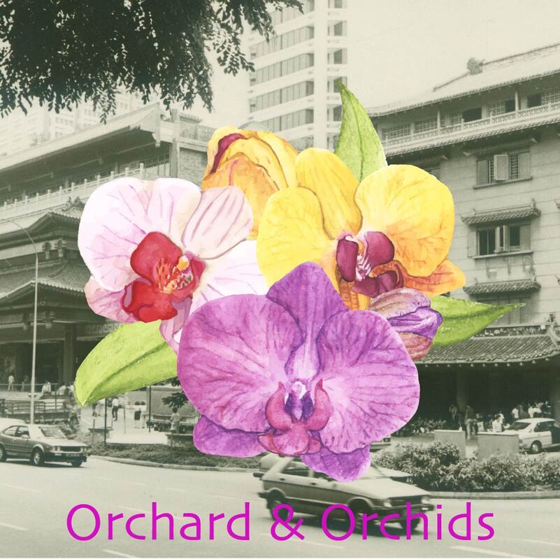 Orchids in Bloom