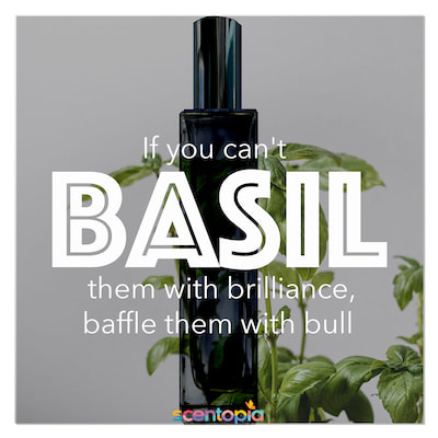 Basil perfume ingredient at scentopia singapore