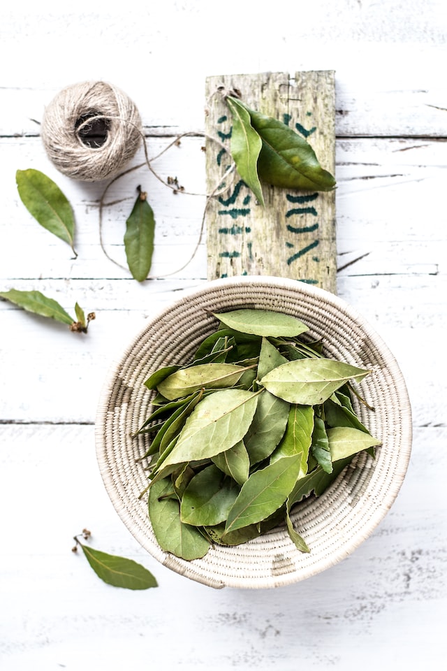 Bay leaves are dried scented aromatic leaves 