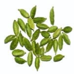 Elettaria cardamomum, is an aromatic, herbaceous, perennial plant in the ginger family