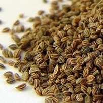 Celery seed has a warm and earthy smell, when added to both food and perfumes. 