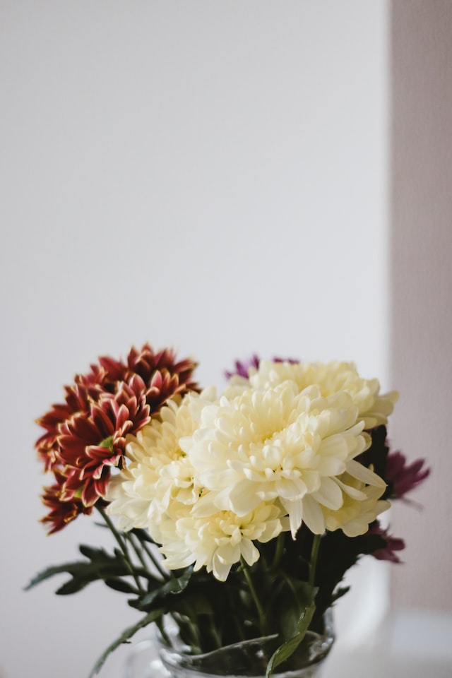Chrysanthemum essential oil may help to improve the appearance of the skin,