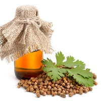 coriander seed for perfume oil