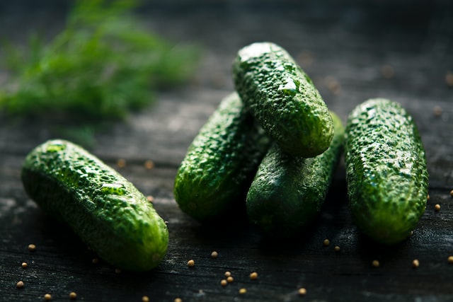 Cucumbers were introduced to Europe by the Romans