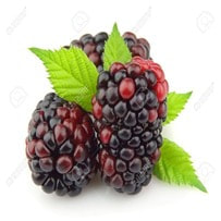 Dewberry oil is used to formulate soaps, candles, skin and hair care