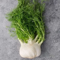 Fennel is often used as aromatic herbs