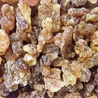 Frankincense essential oil for good respiratory system 
