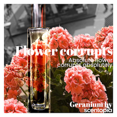 geranium & perfume at scentopia latest tourist attraction scentopia